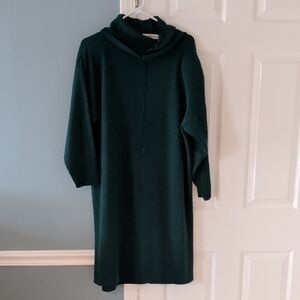 Chic Dark Green Hooded Dress
